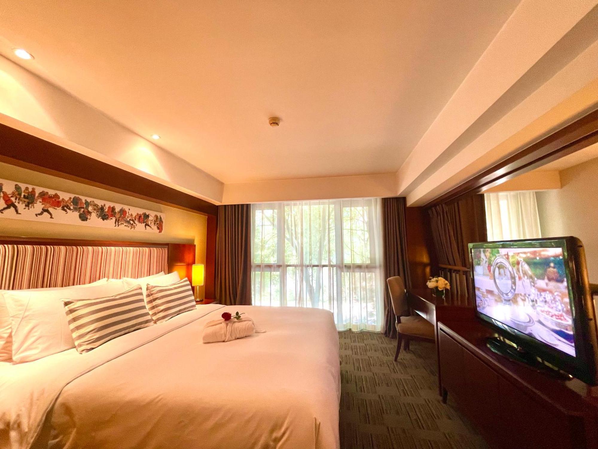 Hotel Mercure Downtown